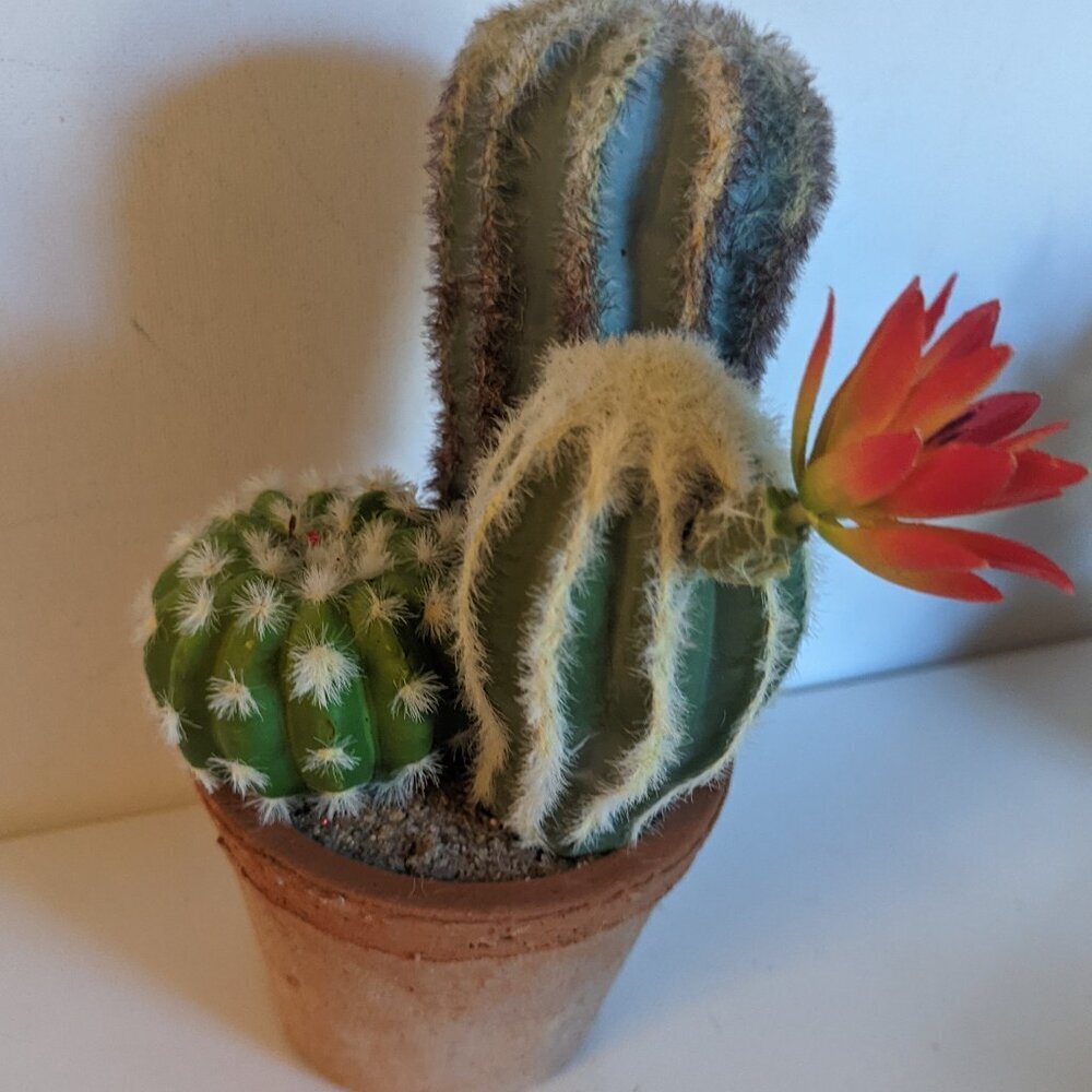 NEW Ashland Faux Triple Cactus Clay Pot Floral Succulent Michael's Desert Summer - Picture 5 of 8